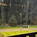 Apartmány Hřensko