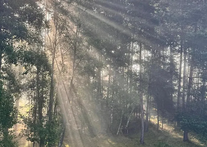 Lägenhet Apartmany Hrensko Hřensko